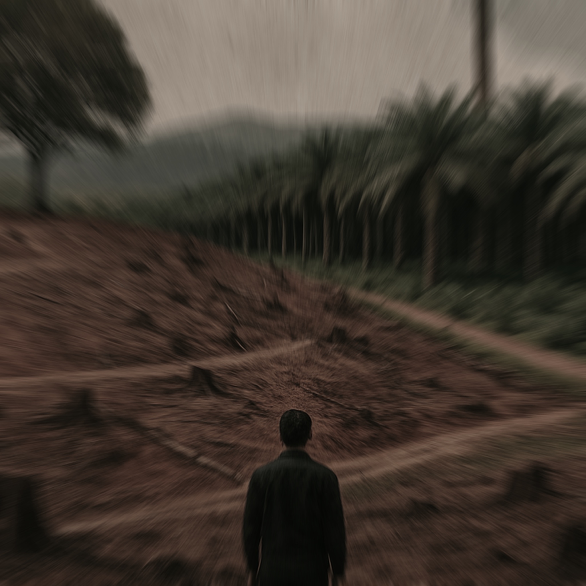 Sawit dan Arah Pembangunan yang Membingungkan